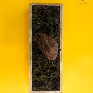 cambodi underwater rare piece natural oud